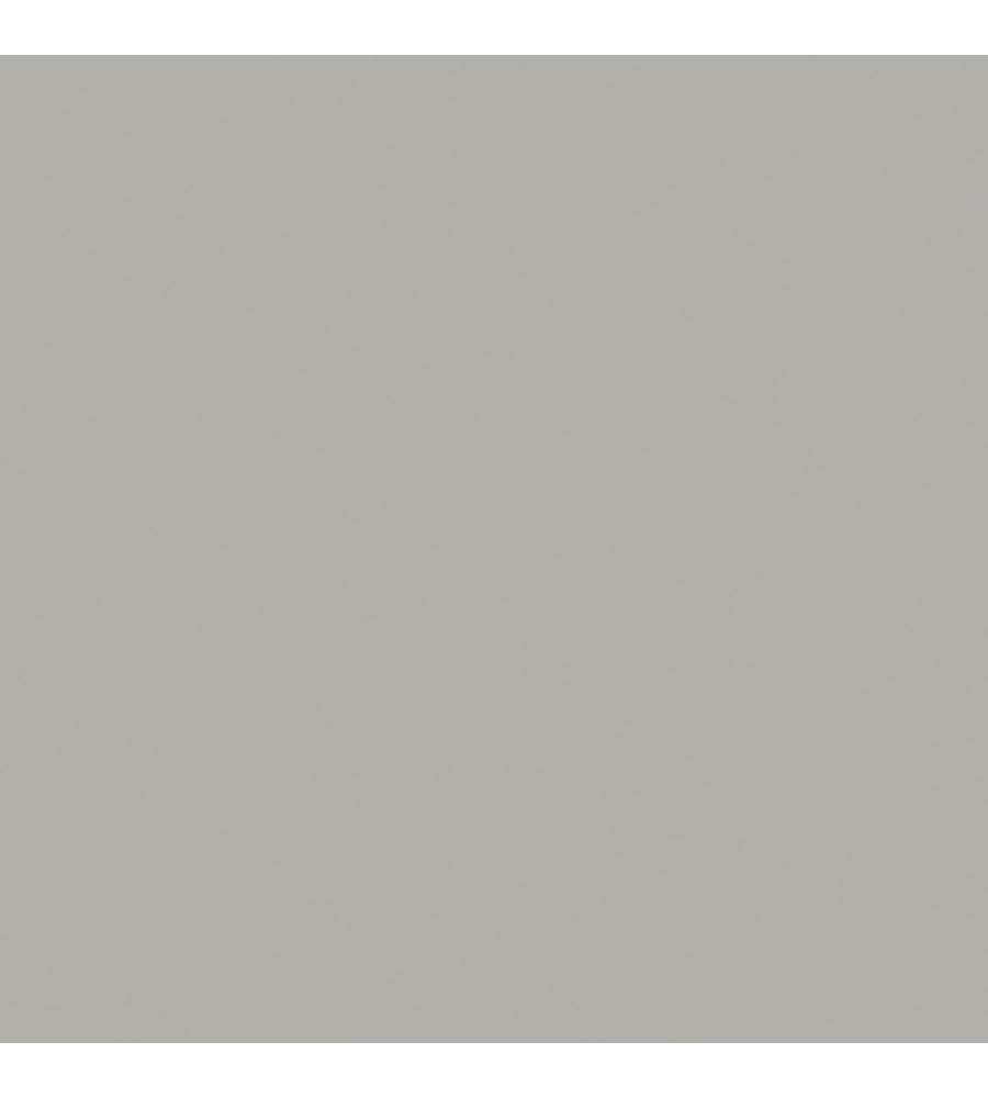 VERNICE METALLICA LAVABILE  "PURE PLATINE" COLORE PLATINO- 2 LT